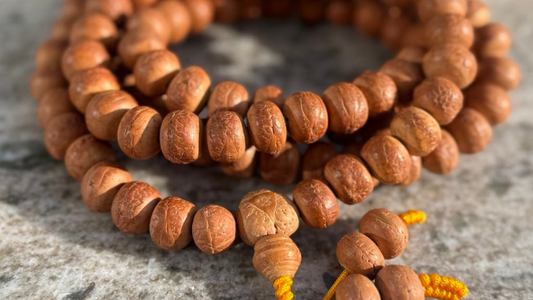 The Meaning of the Bodhi Seed Mala: Origin, Use & Symbolism