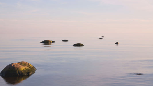 The Neuroscience of Pause – Why Stillness Restores Us